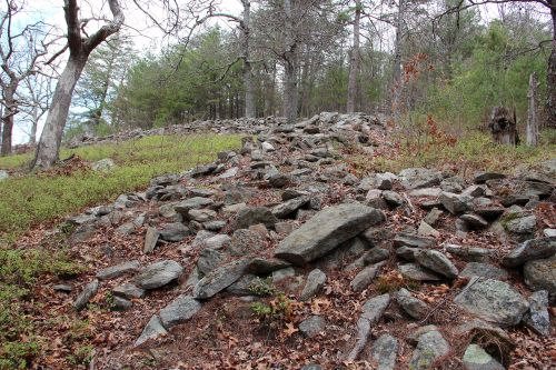 A rocky hillside covered with scattered stones and surrounded by trees and greenery under a cloudy sky.