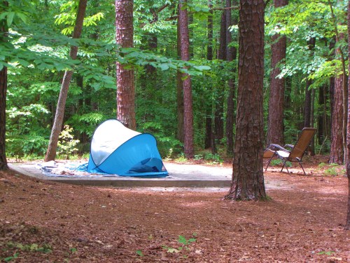 A blue tent set up on a concrete pad in a forest, surrounded by tall trees and a camping chair nearby.