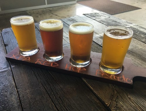 Four small glasses of beer on a wooden flight paddle, featuring different colors and styles.