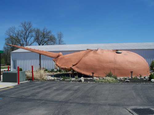 A large, sculptural representation of a stingray, displayed outside a building against a clear blue sky.