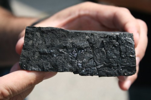 A person holds a large, rough piece of black rock with a textured surface, possibly coal or a similar mineral.