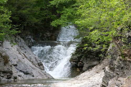 A serene waterfall cascading over rocky terrain, surrounded by lush green trees and foliage.