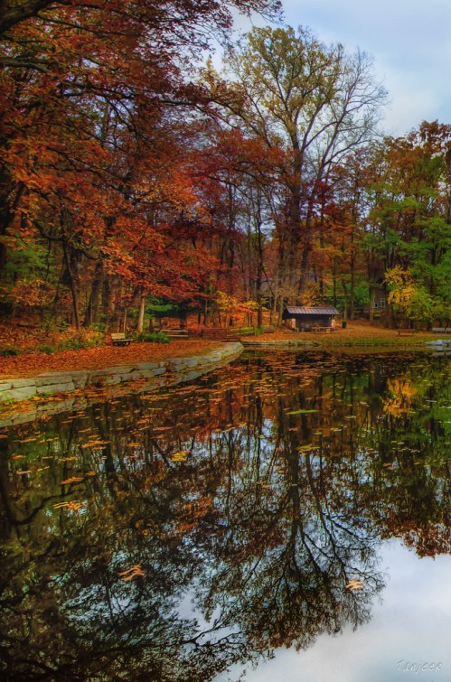 A serene pond surrounded by autumn trees, reflecting vibrant colors and a rustic cabin in the background.