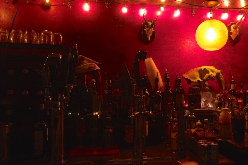 A dimly lit bar with colorful lights, shelves of bottles, and decorative animal skulls on the wall.