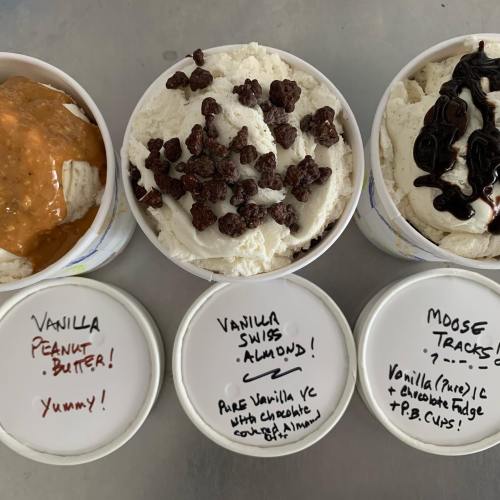 Four ice cream containers with flavors: Vanilla Peanut Butter, Vanilla Swiss Almond, and Moose Tracks, all topped with toppings.
