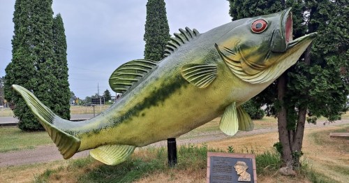 A large, colorful fish sculpture stands in a grassy area, surrounded by tall trees and a plaque nearby.