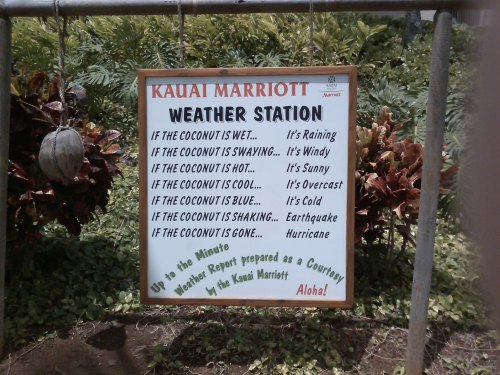 Sign at Kauai Marriott Weather Station with humorous weather indicators based on coconut conditions.