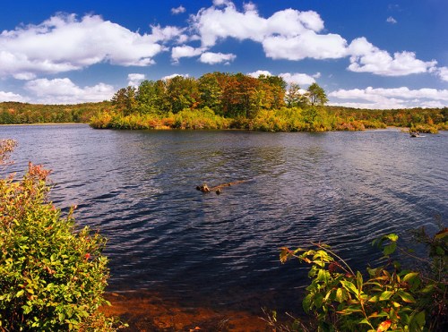 A serene lake surrounded by colorful trees and a clear blue sky with fluffy clouds reflecting on the water.