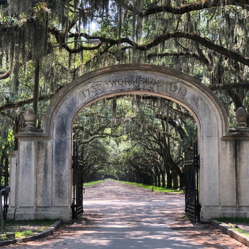 A historic archway with "1733 Wormsloe 1913" above, leading to a tree-lined path draped in Spanish moss.