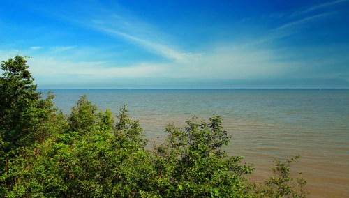A serene view of a calm sea under a blue sky, framed by lush green foliage along the shoreline.