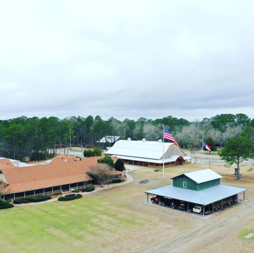 Aerial view of a rural area featuring buildings, flags, and trees under a cloudy sky.