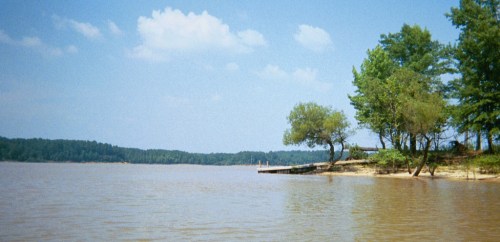 A serene lake scene with trees along the shore and a wooden dock under a clear blue sky.