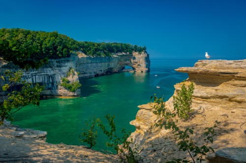 A serene coastal scene with cliffs, clear turquoise water, and a seagull perched on a rock under a blue sky.