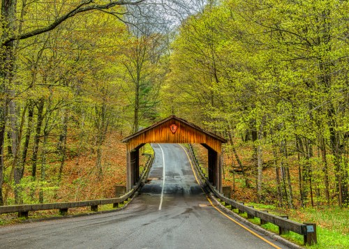 A wooden covered bridge spans a road through lush green trees in a serene forest setting.