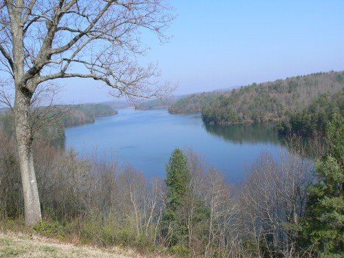 A serene lake surrounded by trees under a clear blue sky, with gentle hills in the background.
