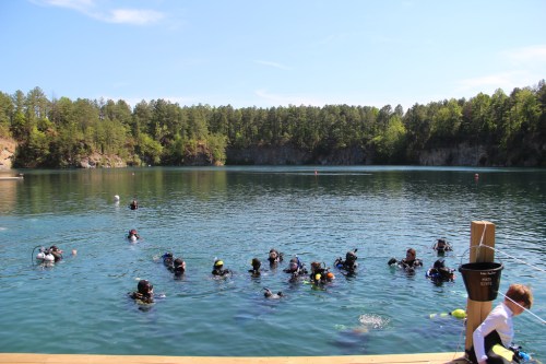 Divers in wetsuits are swimming in a clear lake surrounded by trees, with a dock visible in the foreground.