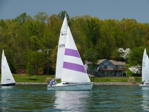 A sailboat with purple sails glides on a calm lake, surrounded by green trees and a house in the background.