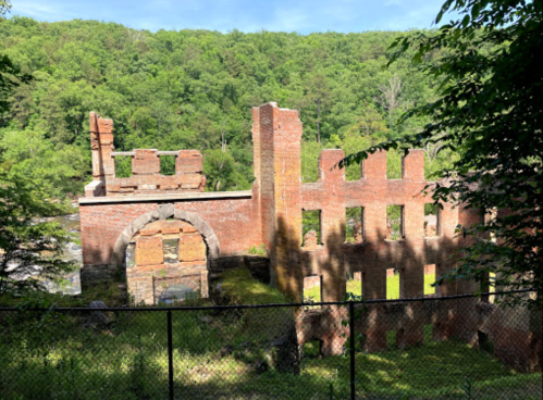 Ruins of a brick structure surrounded by greenery, with a fence in the foreground and trees in the background.