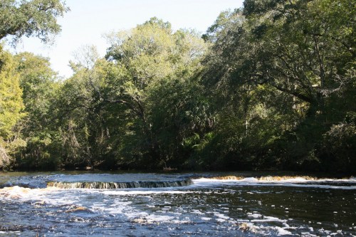 A serene river scene with a small waterfall surrounded by lush green trees and a clear blue sky.