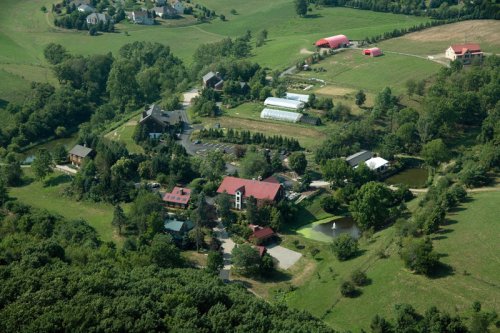 alt