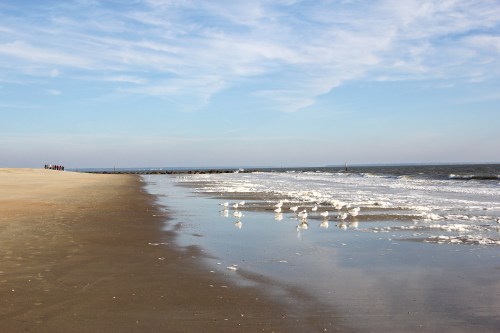 A serene beach scene with gentle waves, seagulls on the shore, and a clear blue sky in the background.
