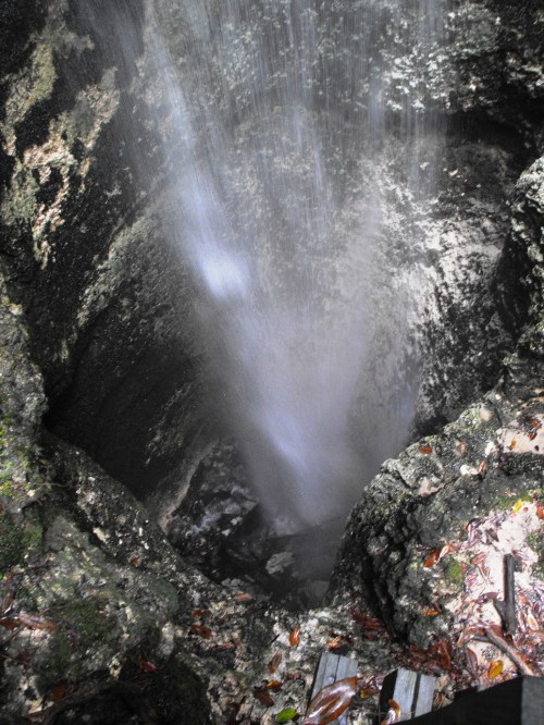 A waterfall cascading into a deep, rocky crevice surrounded by moss and fallen leaves.