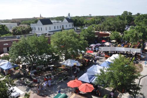 A bustling outdoor market with tents, umbrellas, and crowds among trees and buildings on a sunny day.