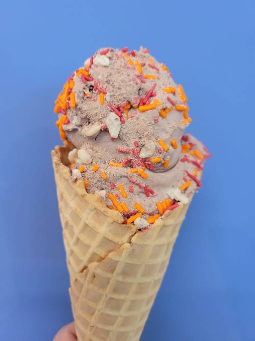 A close-up of a waffle cone filled with a scoop of chocolate ice cream topped with colorful sprinkles.