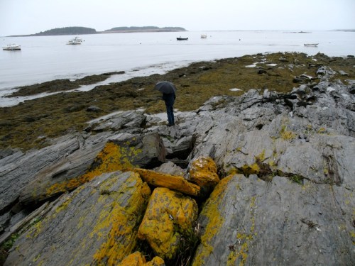 A person in a black umbrella examines rocky shorelines with boats in the calm water on a cloudy day.
