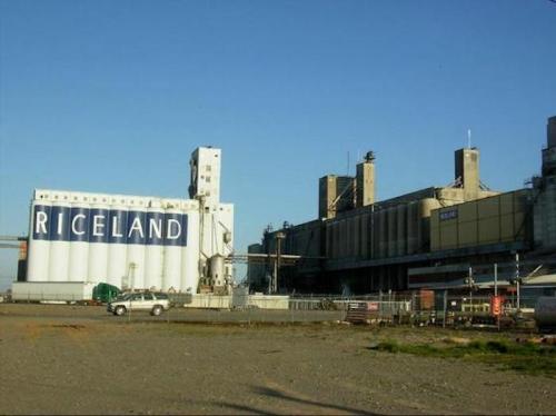 Industrial facility with large silos labeled "RICELAND" and adjacent buildings under a clear blue sky.