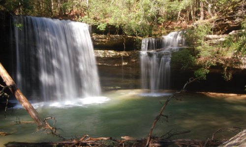 A serene waterfall cascades into a tranquil pool, surrounded by lush greenery and fallen branches.