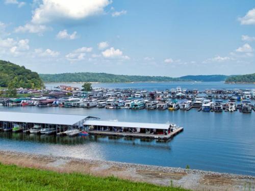 A scenic view of a marina filled with boats, surrounded by green hills and a blue sky with fluffy clouds.