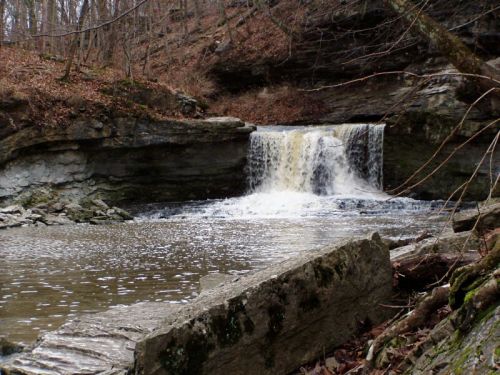 A serene waterfall cascades over rocks into a calm pool, surrounded by trees and earthy tones.