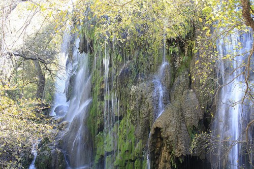 A serene waterfall cascading over moss-covered rocks, surrounded by autumn foliage and trees.