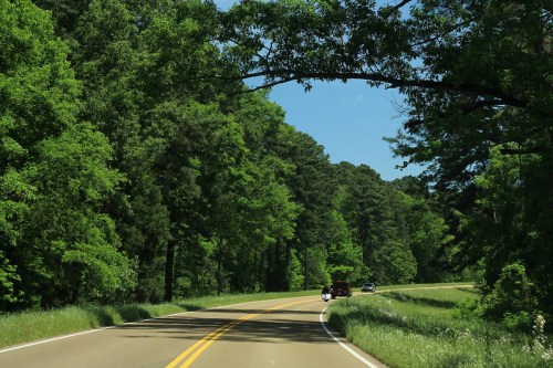 A winding road surrounded by lush green trees under a clear blue sky, with vehicles traveling along the route.