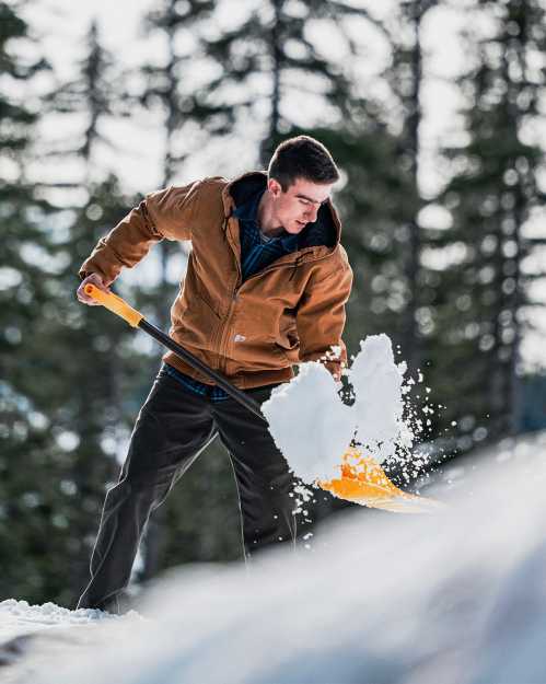 A person shovels snow in a winter landscape, wearing a brown jacket and focused on their task. Pine trees in the background.