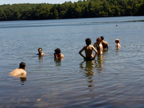 A group of people wading in a calm lake on a sunny day, surrounded by trees and nature.