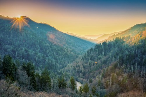 Sunrise over a misty mountain valley, with trees lining the slopes and a winding road visible below.