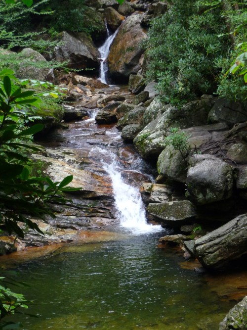 A serene waterfall cascades over rocks into a clear pool, surrounded by lush greenery.