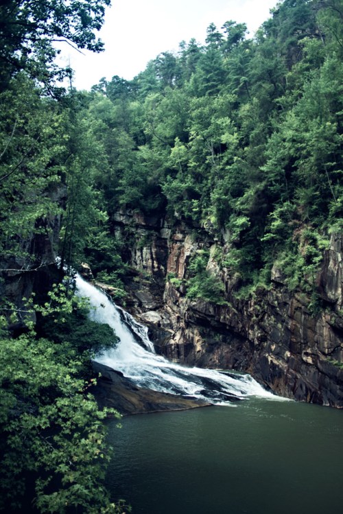 A serene waterfall cascading down rocky cliffs, surrounded by lush green trees and a calm river below.