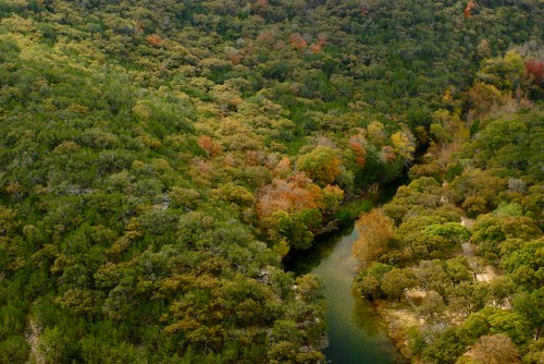 Aerial view of a winding river surrounded by lush green trees with hints of autumn colors.