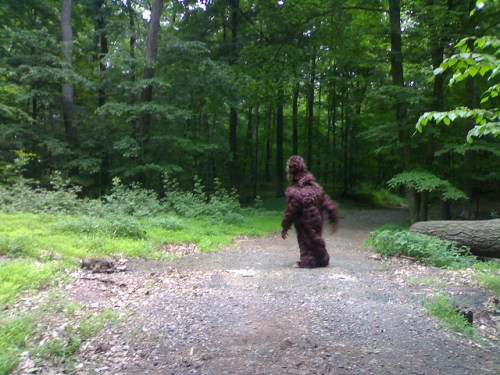 A figure in a furry costume walks along a forest path surrounded by lush green trees.