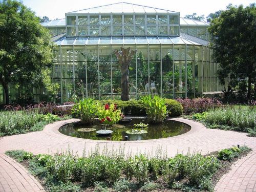 A glass greenhouse surrounded by lush greenery and a circular pond with water lilies in a landscaped garden.