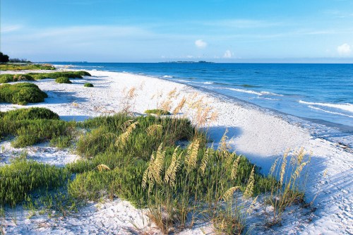 A serene beach scene with soft white sand, gentle waves, and lush green grass under a clear blue sky.
