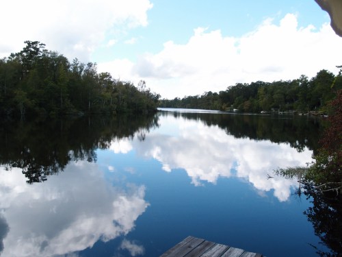 A serene lake reflecting trees and clouds under a blue sky, with a wooden dock in the foreground.
