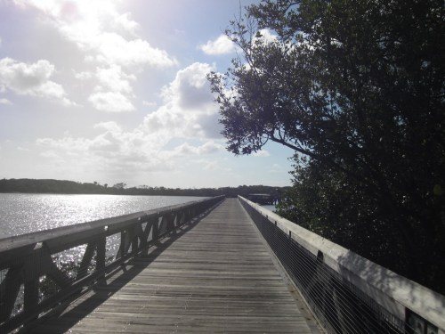 A wooden boardwalk stretches over water, surrounded by trees under a bright sky with scattered clouds.
