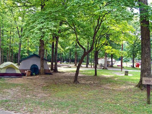 A peaceful campsite with tents nestled among green trees, surrounded by a grassy area and a path leading to amenities.