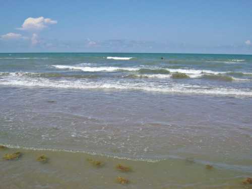 A serene beach scene with gentle waves lapping at the shore under a clear blue sky.