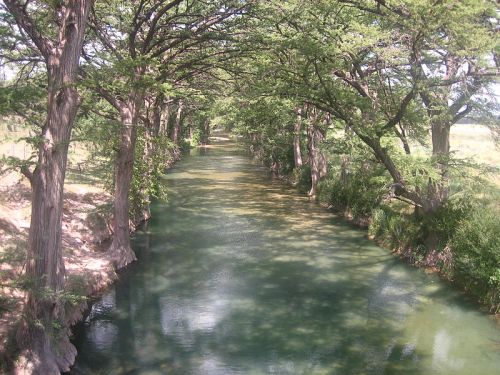 A serene river lined with tall trees, creating a peaceful, shaded pathway along the water's edge.