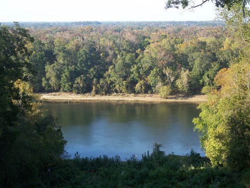 A serene river flows through a lush forest, showcasing vibrant autumn foliage along the banks.